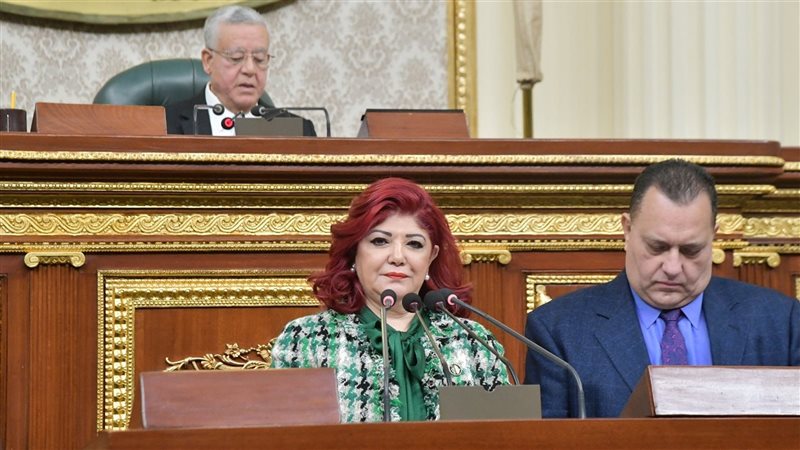 مجلس النواب، فيتو