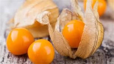  فوائد الحرنكش، الأفضل للجهاز الهضمي وللشعر