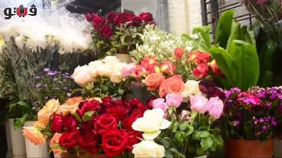 تعرف على أسعار الورود في عيد الحب 2023 (فيديو)
