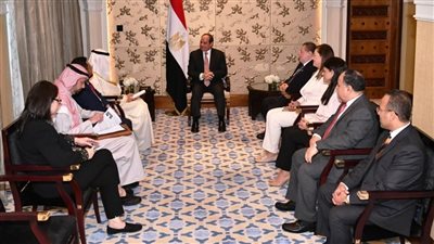 تفاصيل لقاء السيسي ورئيس مجموعة البنك الإسلامي للتنمية (صور)
