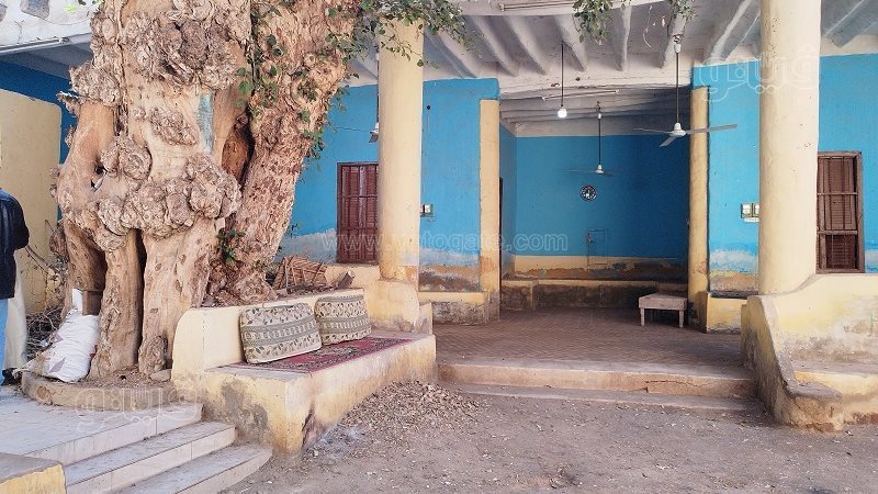 ديوان عائلة بقنا،فيتو