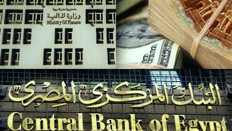 البنك المركزي المصري،