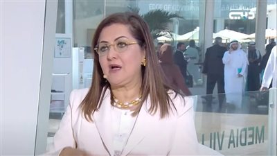 وزيرة التخطيط: مصر لديها جميع المقومات للربط الكهربائي مع الدول