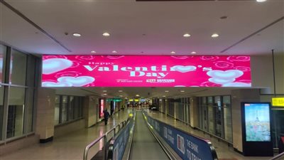 عيد الحب، مظاهر الاحتفالات تزين المطارات المصرية