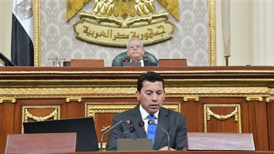 وزير الشباب: إنشاء اتحاد رياضي للطاولة والدمينو