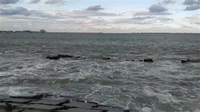 شراقي يكشف أسباب تغير لون مياه بحر الإسكندرية إلى الأسود (فيديو)