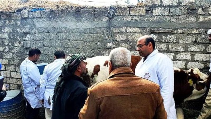 جانب من المتابعة