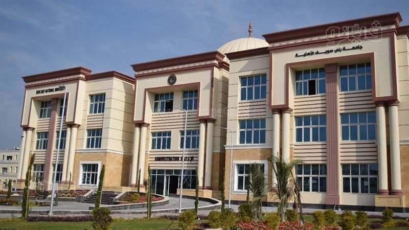 جامعة بني سويف الأهلية،
