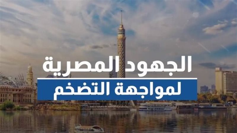 الجهود المصرية لمواجهة