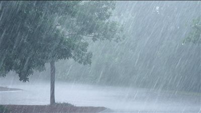 بعد تحذيرات الأرصاد، خريطة سقوط الأمطار المتوقعة اليوم، وموقف القاهرة منها