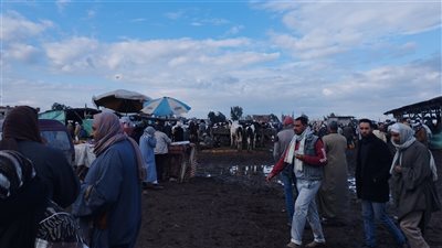 تجار المواشي في سوق أبو حمص يشتكون من غلاء الأسعار (فيديو)