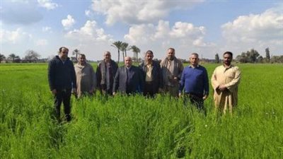 زراعة الشرقية: يوم حقلي إرشادي بقرية كراديس في ديرب نجم 