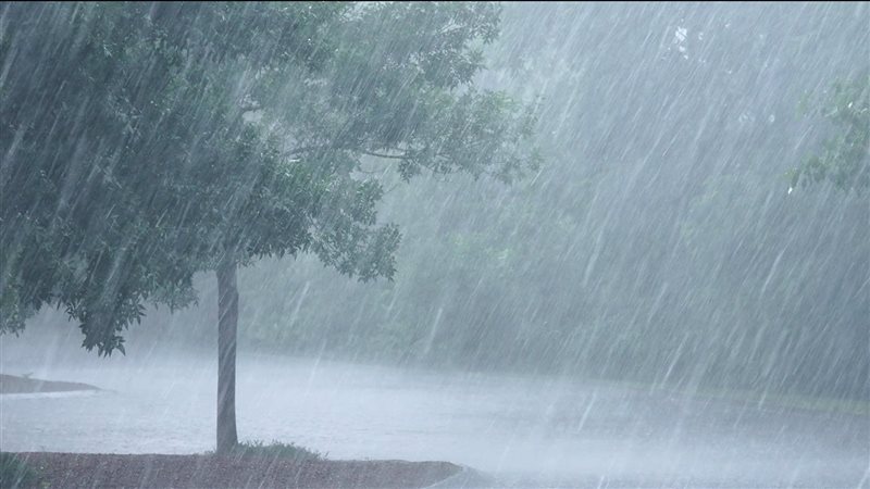  سقوط الأمطار، فيتو