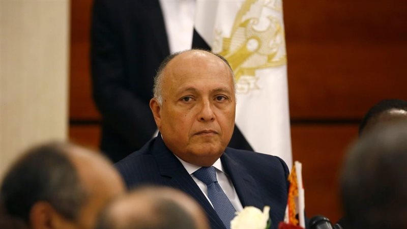 سامح شكري، فيتو 