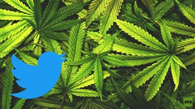 تويتر أول منصة اجتماعية رئيسية تسمح بإعلانات القنب في أمريكا