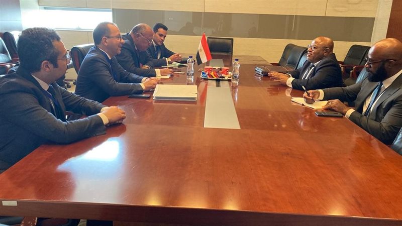 وزير الخارجية يلتقي