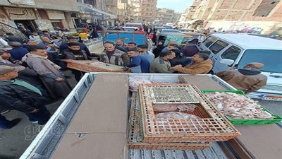 ضبط هياكل دجاج فاسدة أثناء توريدها للمحال التجارية في الشرقية (صور)
