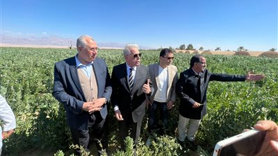  الزراعة تحذر من عودة الأجواء الباردة وتوجه إرشادات للفلاحين 