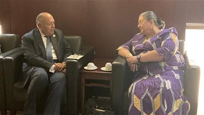 شكري يلتقي مبعوثة سكرتير عام الأمم المتحدة الخاصة للقرن الإفريقي