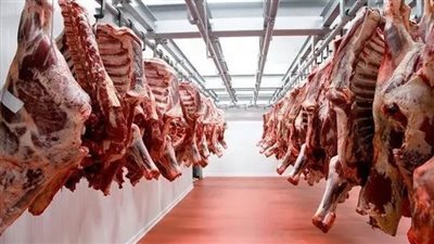 أسعار اللحوم اليوم السبت 4-3-2023 في مصر