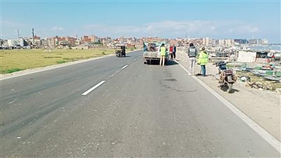  مصرع شخصين وإصابة 7 بحادث غرق ميكروباص في ترعة بالدقهلية