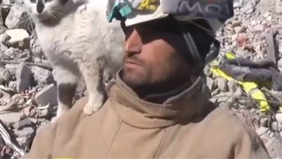 اعتادت تقبيله، قصة صداقة بين رجل إنقاذ تركي وقطة أخرجها من تحت الأنقاض (فيديو)