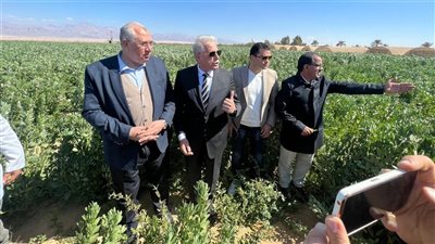 المحافظات خلال 24 ساعة، 4 زيارات رسمية للدقهلية وجنوب سيناء والإسكندرية، ووزير التنمية المحلية يتابع مشروعات حياة كريمة بالمنيا (صور)