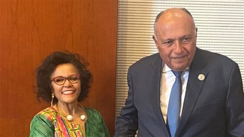 لقاء سامح شكري والمديرة