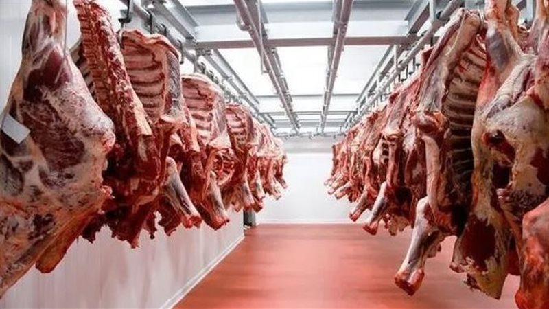 اسعار اللحوم اليوم،