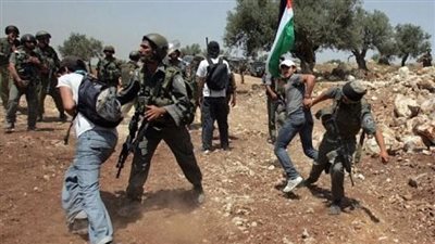 الاحتلال يقمع الفلسطينيين بجز العشب ومخاوف إسرائيلية من مواجهة شاملة