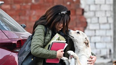 أنقذت كلبا من الدهس بسيارة فكان هذا رد فعله (صور بألف معنى)