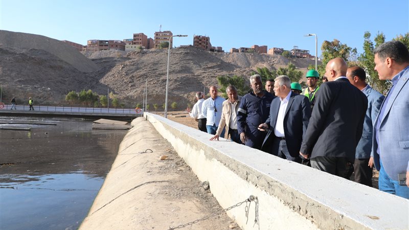 ممدوح رسلان، فيتو