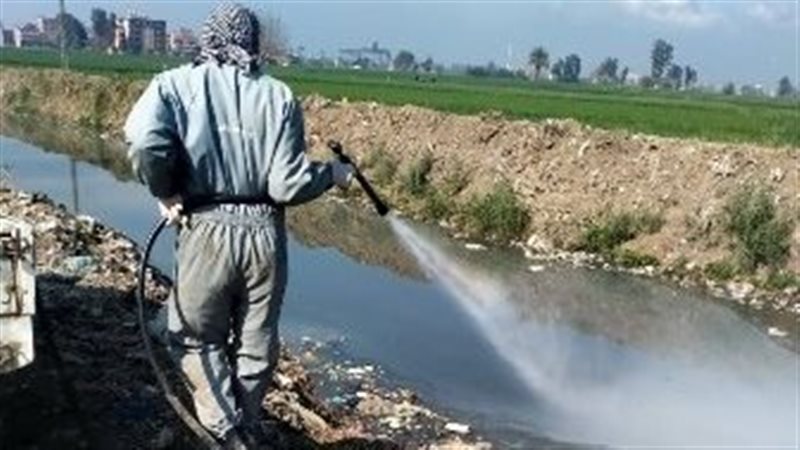 جانب من اعمال المكافحة،فيتو