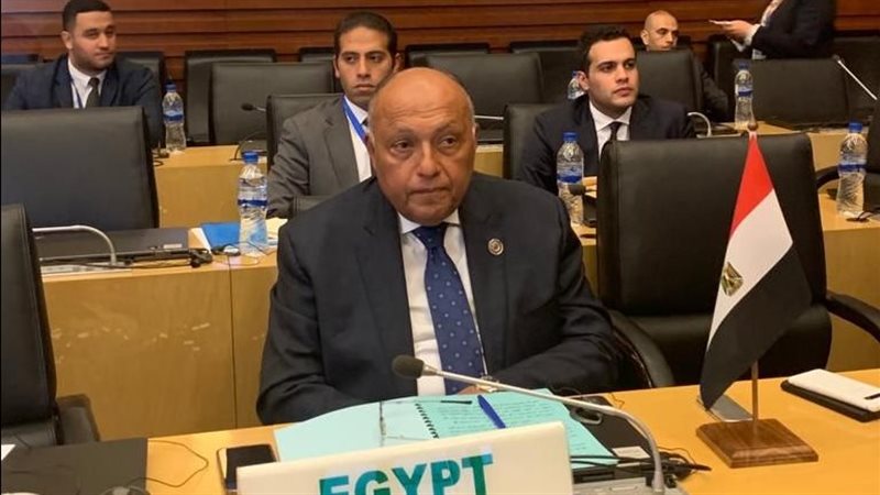 سامح شكري، فيتو