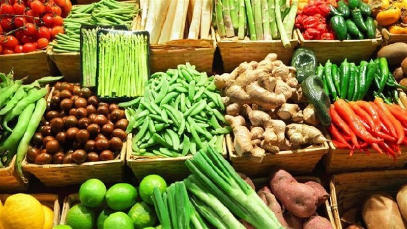 صادرات الحاصلات الزراعية،