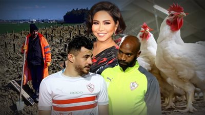 أخبار مصر: صدمة للزمالك بشأن أزمة القيد، قفزة بأسعار هياكل الدواجن وشنطة رمضان، أزمة جديدة لشيرين، جثث أتراك تبحث عن مدافن