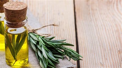 فوائد الروزماري، يحسن الذاكرة ويحمي من السرطان
