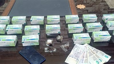 حبس عاطلين لاتهامهما بحيازة كمية من الأقراص المخدرة في المطرية