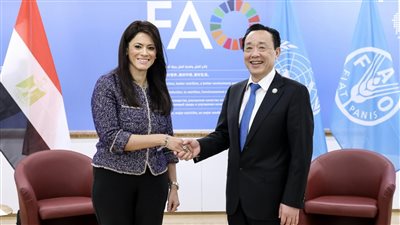 المشاط تستعرض أولويات الحكومة لتعزيز الأمن الغذائي خلال لقائها مدير الفاو