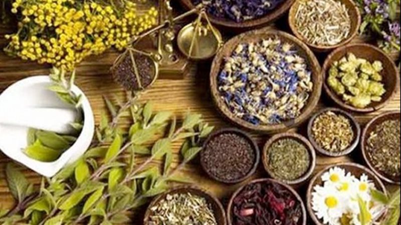 النباتات الطبية،