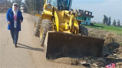 تجميل المداخل وصيانة ودهان أعمدة الإنارة بقرى ديرب نجم شرقية 