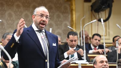 النائب حسام المندوه: زيادة منافذ بيع السلع الغذائية بأسعار مخفضة 