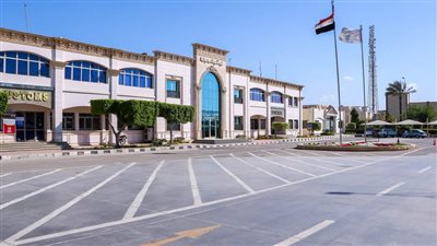 تداول 29 سفينة بضائع متنوعة داخل ميناء دمياط