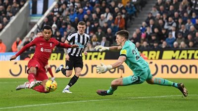 الدوري الإنجليزي، نيوكاسل يخسر لأول مرة هذا الموسم في ملعبه