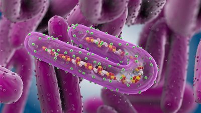 بعد تفشيه في إثيوبيا وتحذير الصحة العالمية، أهم أعراض فيروس ماربورج القاتل وطرق العدوى