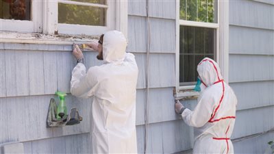 ما هي مواد البناء التي يمكن الاستغناء عنها مستقبلا؟ (صور)