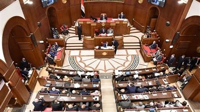 تفاصيل تعديلات قانون المنشآت الصناعية لتقنين أوضاعها أمام الشيوخ اليوم