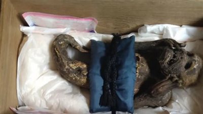 الكشف عن حقيقة 