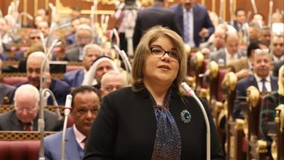 وكيل الشيوخ: تقنين أوضاع المنشآت الصناعية لدمج الاقتصاد غير الرسمي 