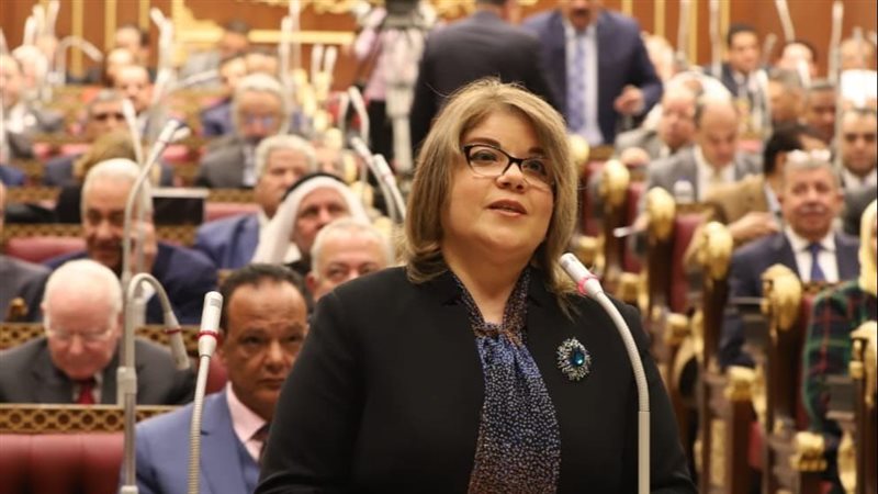 النائبة فيبى فوزى